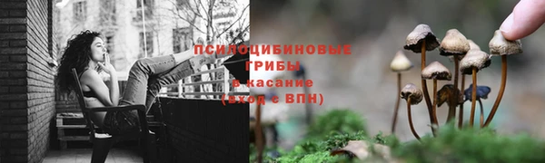 спиды Слюдянка