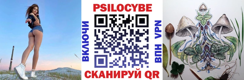 Псилоцибиновые грибы MAGIC MUSHROOMS  где можно купить наркотик  Калач-на-Дону 